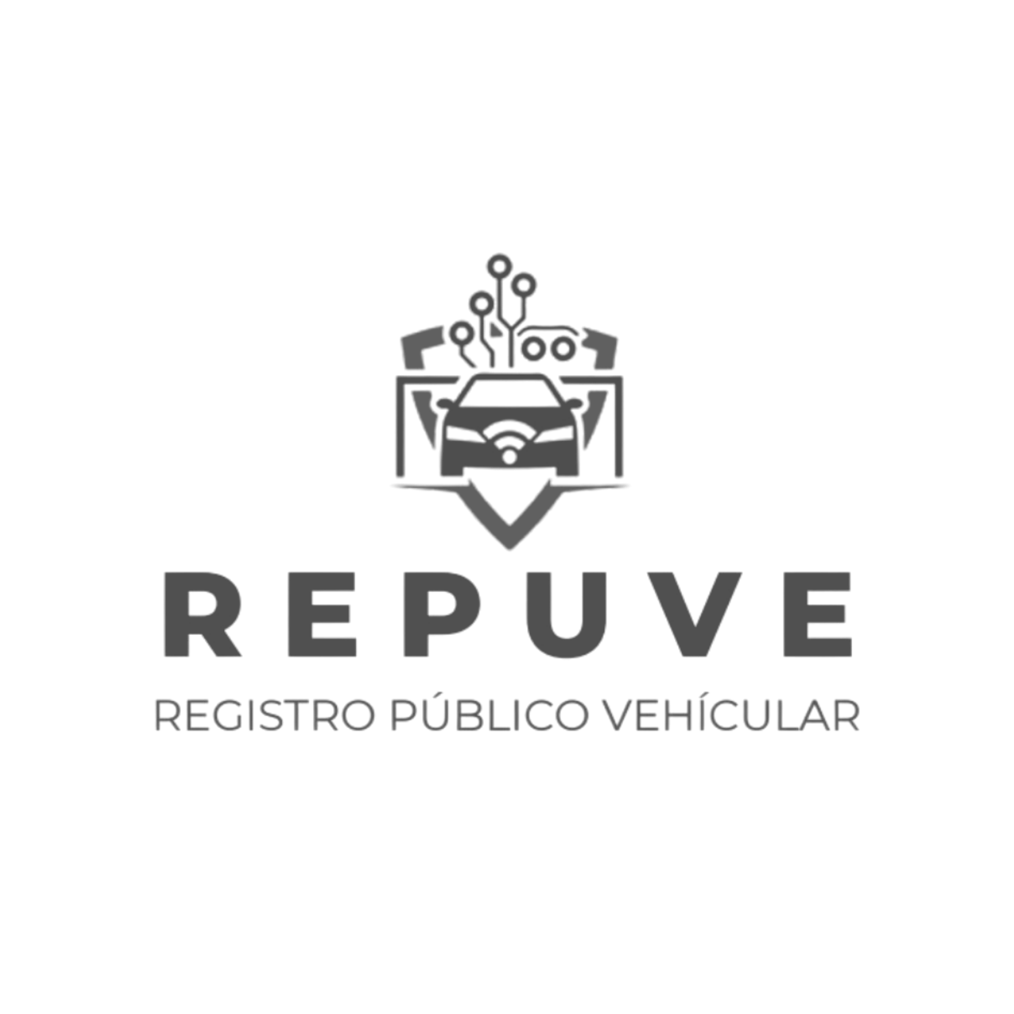 REPUVE